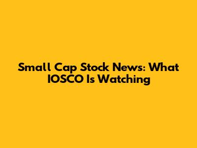 Small Cap Stock News: What IOSCO Is Watching