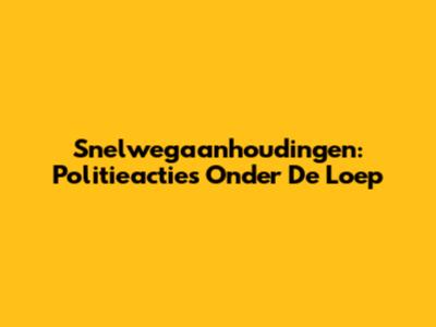 Snelwegaanhoudingen: Politieacties Onder De Loep