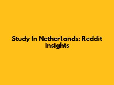 Study In Netherlands: Reddit Insights