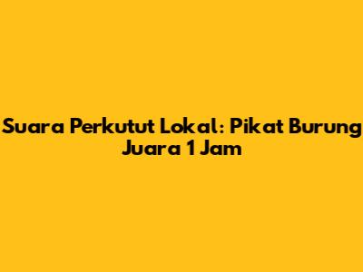 Suara Perkutut Lokal: Pikat Burung Juara 1 Jam