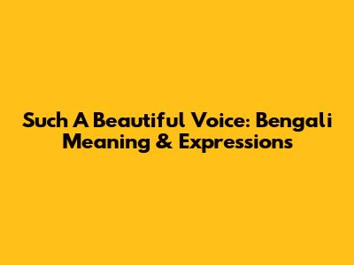 Such A Beautiful Voice: Bengali Meaning & Expressions