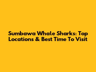 Sumbawa Whale Sharks: Top Locations & Best Time To Visit