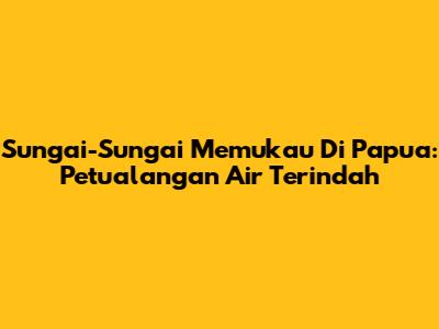 Sungai-Sungai Memukau Di Papua: Petualangan Air Terindah