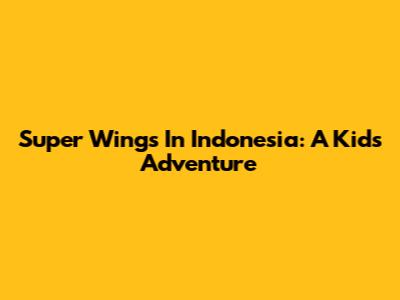 Super Wings In Indonesia: A Kid's Adventure
