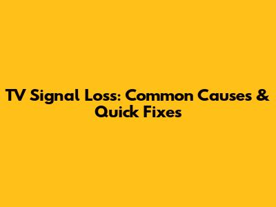 TV Signal Loss: Common Causes & Quick Fixes
