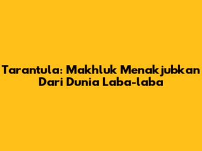Tarantula: Makhluk Menakjubkan Dari Dunia Laba-laba