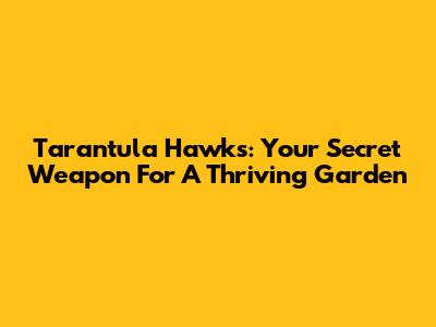 Tarantula Hawks: Your Secret Weapon For A Thriving Garden