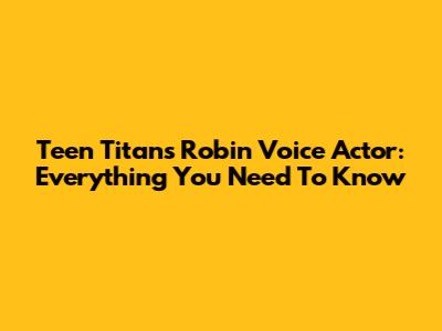 Teen Titans' Robin Voice Actor: Everything You Need To Know