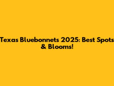 Texas Bluebonnets 2025: Best Spots & Blooms!