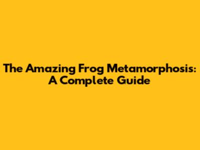 The Amazing Frog Metamorphosis: A Complete Guide