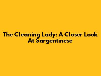 The Cleaning Lady: A Closer Look At Sargentinese