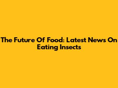 The Future Of Food: Latest News On Eating Insects