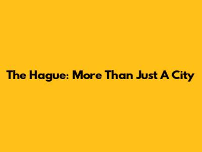 The Hague: More Than Just A City