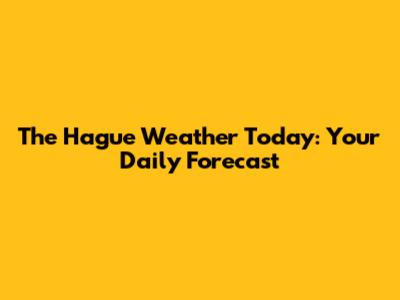 The Hague Weather Today: Your Daily Forecast