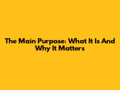The Main Purpose: What It Is And Why It Matters
