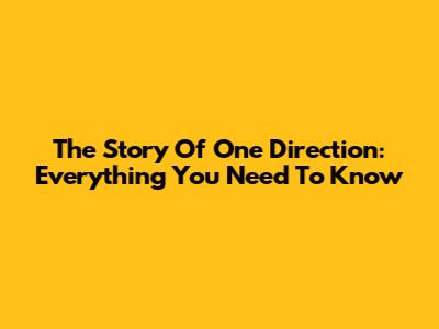 The Story Of One Direction: Everything You Need To Know