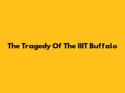 The Tragedy Of The IIIT Buffalo