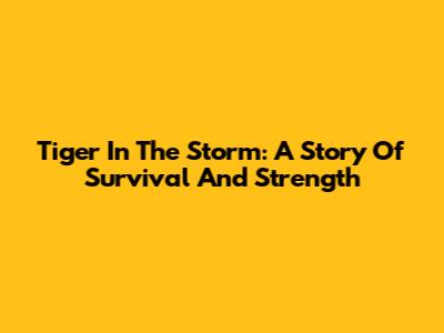 Tiger In The Storm: A Story Of Survival And Strength