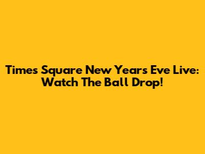 Times Square New Year's Eve Live: Watch The Ball Drop!