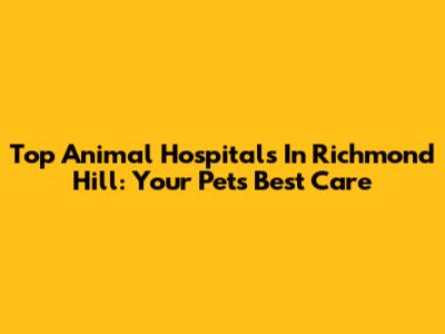 Top Animal Hospitals In Richmond Hill: Your Pet's Best Care