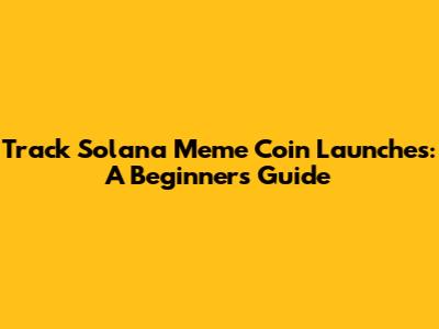 Track Solana Meme Coin Launches: A Beginner's Guide