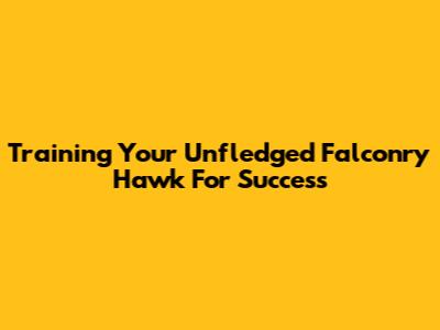 Training Your Unfledged Falconry Hawk For Success
