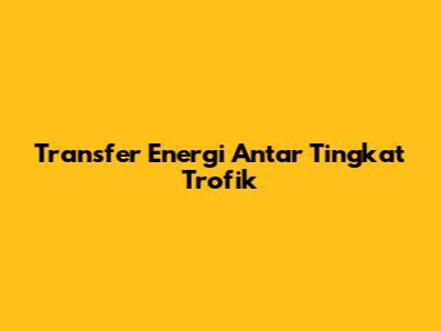 Transfer Energi Antar Tingkat Trofik