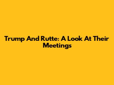 Trump And Rutte: A Look At Their Meetings