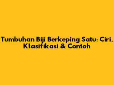Tumbuhan Biji Berkeping Satu: Ciri, Klasifikasi & Contoh