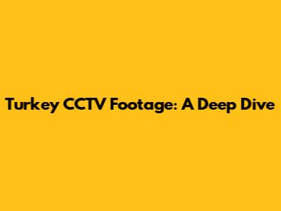 Turkey CCTV Footage: A Deep Dive