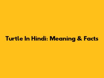 Turtle In Hindi: Meaning & Facts