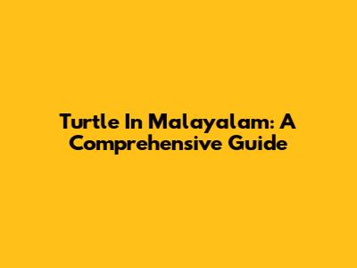 Turtle In Malayalam: A Comprehensive Guide