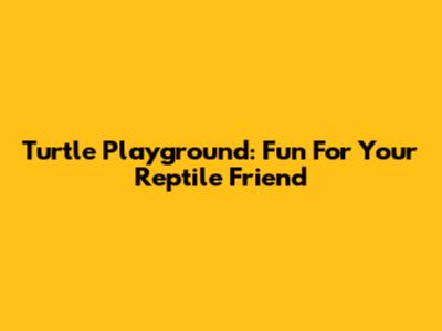 Turtle Playground: Fun For Your Reptile Friend