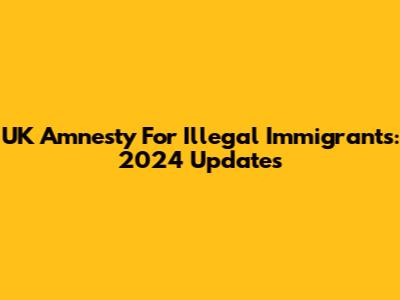 UK Amnesty For Illegal Immigrants: 2024 Updates