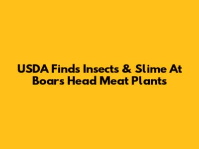 USDA Finds Insects & Slime At Boar's Head Meat Plants