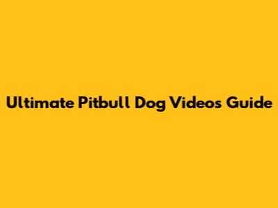 Ultimate Pitbull Dog Videos Guide