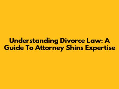 Understanding Divorce Law: A Guide To Attorney Shin's Expertise