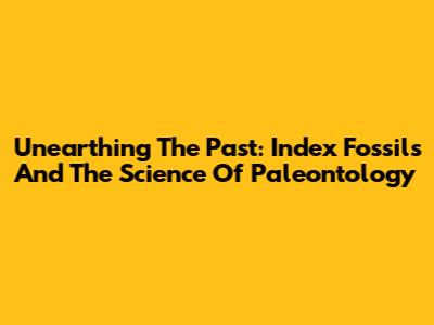 Unearthing The Past: Index Fossils And The Science Of Paleontology