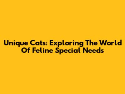 Unique Cats: Exploring The World Of Feline Special Needs