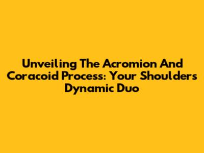Unveiling The Acromion And Coracoid Process: Your Shoulder's Dynamic Duo
