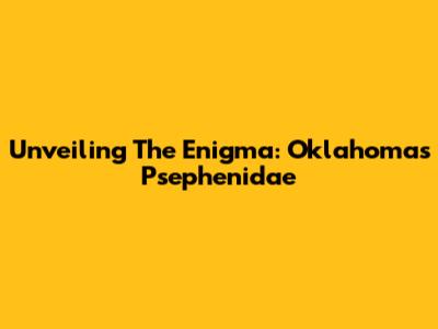 Unveiling The Enigma: Oklahoma's Psephenidae