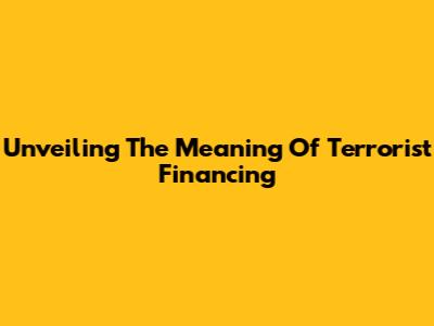 Unveiling The Meaning Of Terrorist Financing