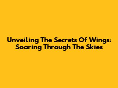 Unveiling The Secrets Of Wings: Soaring Through The Skies