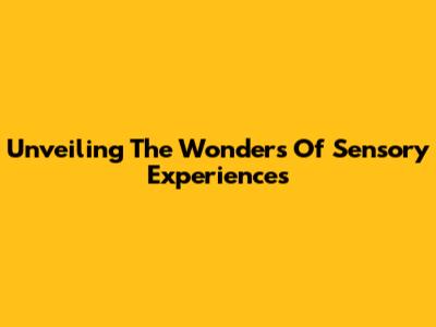 Unveiling The Wonders Of Sensory Experiences