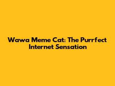 Wawa Meme Cat: The Purrfect Internet Sensation