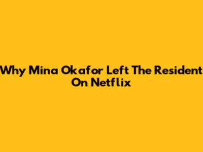Why Mina Okafor Left The Resident On Netflix