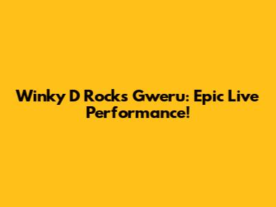 Winky D Rocks Gweru: Epic Live Performance!