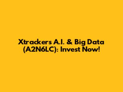Xtrackers A.I. & Big Data (A2N6LC): Invest Now!