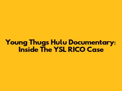 Young Thug's Hulu Documentary: Inside The YSL RICO Case