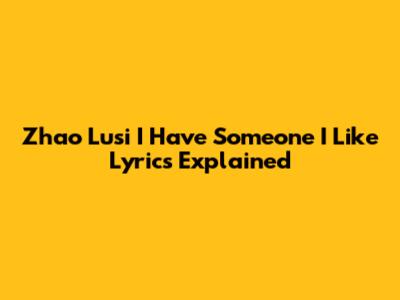 Zhao Lusi "I Have Someone I Like" Lyrics Explained